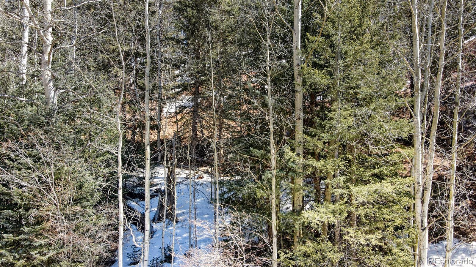 38 Princess Road Cripple Creek, CO 80813 - Photo 25 of 33 Gallery Image 25