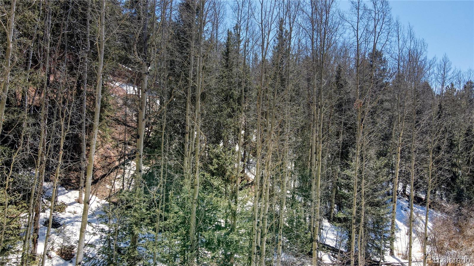 38 Princess Road Cripple Creek, CO 80813 - Photo 26 of 33 Gallery Image 26