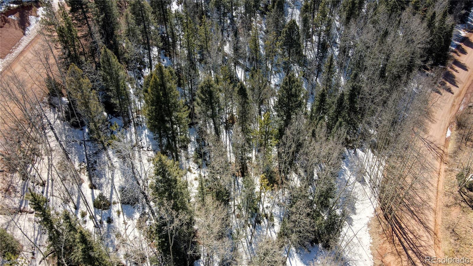 38 Princess Road Cripple Creek, CO 80813 - Photo 29 of 33 Gallery Image 29