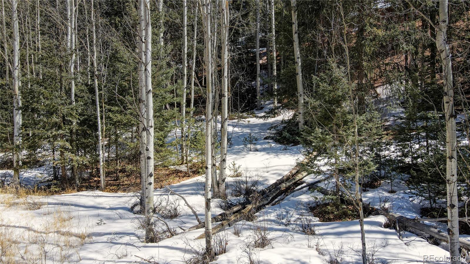 38 Princess Road Cripple Creek, CO 80813 - Photo 4 of 33 Gallery Image 4