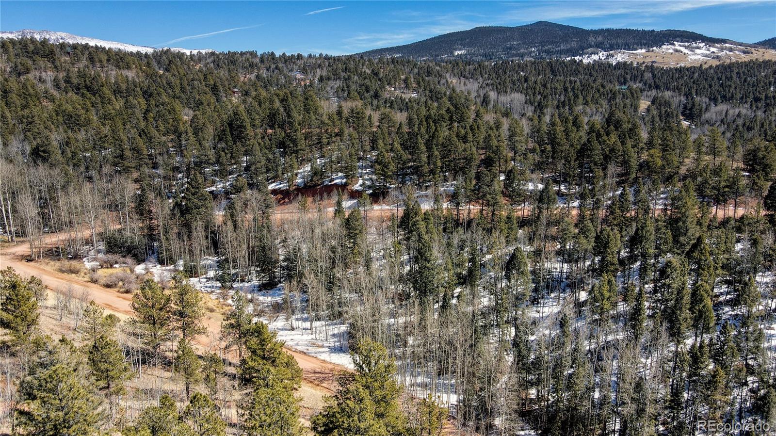 38 Princess Road Cripple Creek, CO 80813 - Photo 6 of 33 Gallery Image 6