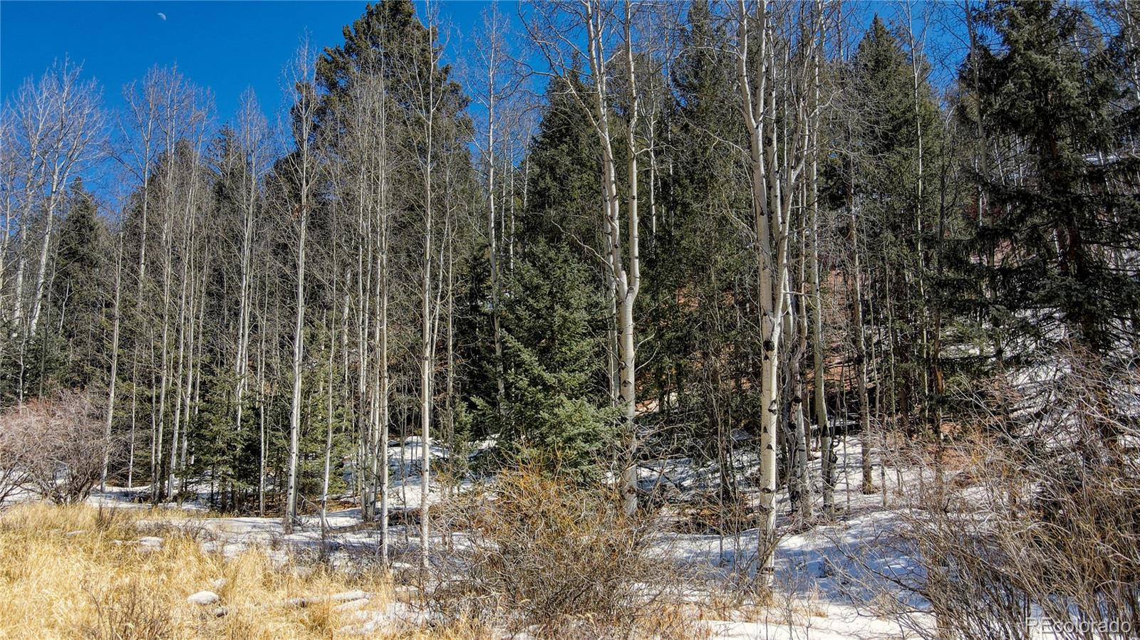 38 Princess Road Cripple Creek, CO 80813 - Photo 10 of 33 Gallery Image 10