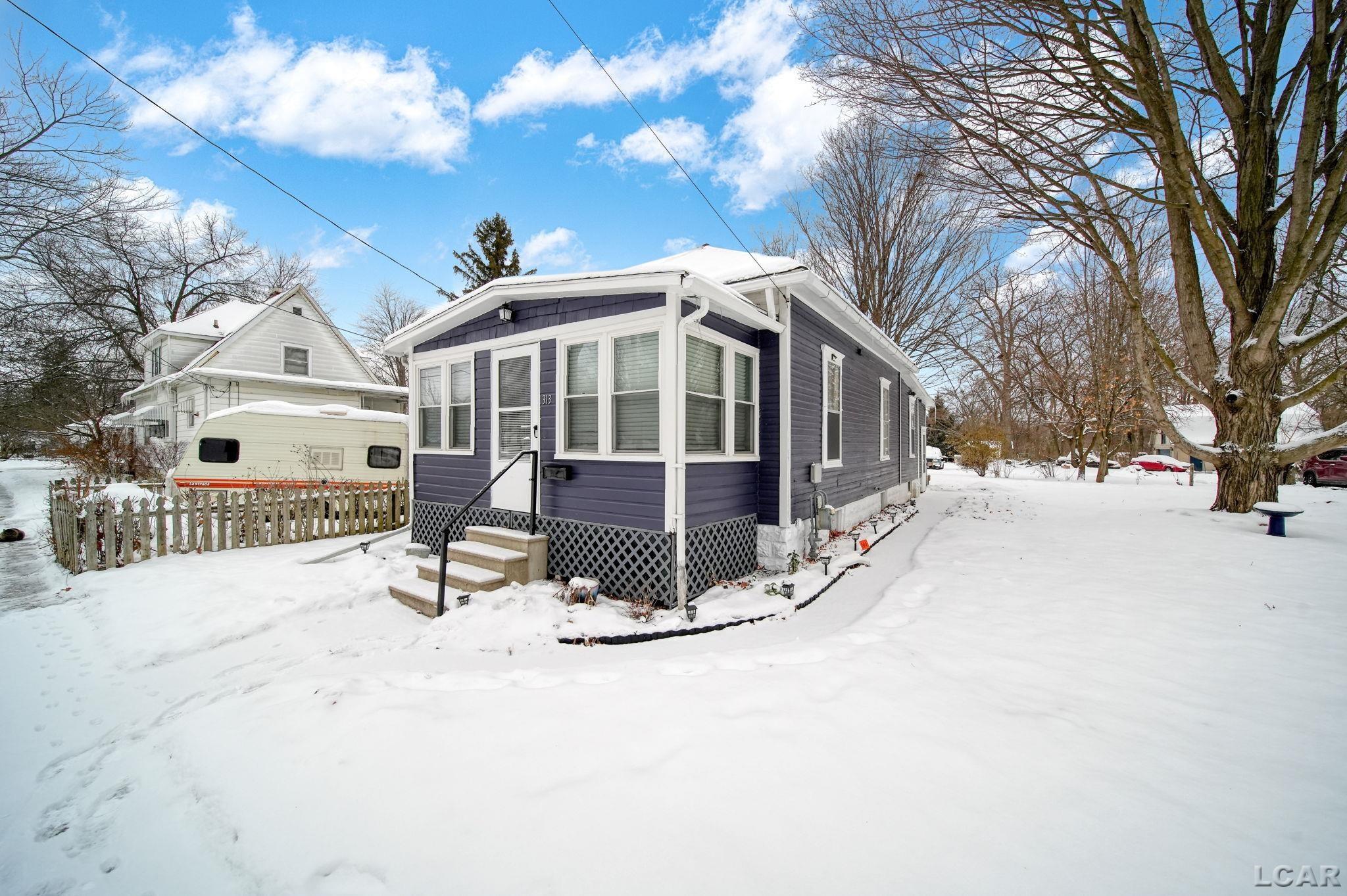 313 Rice Street Adrian, MI 49221 - Photo 1 of 32