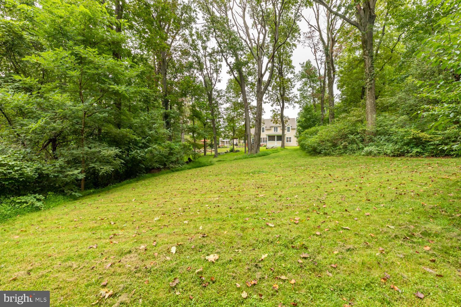 18411 Blue Ridge Mountain Road Bluemont, VA 20135 - Photo 41 of 53 Back view of home from rear acreage