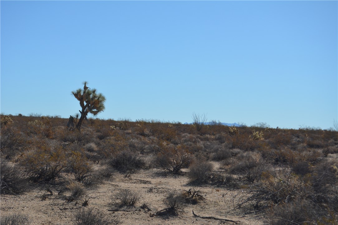 207-35-005 South Arlington Road Yucca, AZ 86438 - Photo 14 of 92