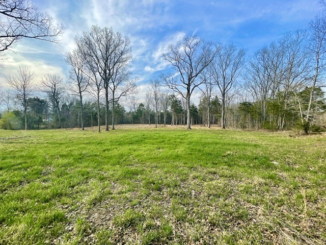 0 Vaught Road Readyville, TN 37149 - Photo 1 of 12 Gallery Image 1