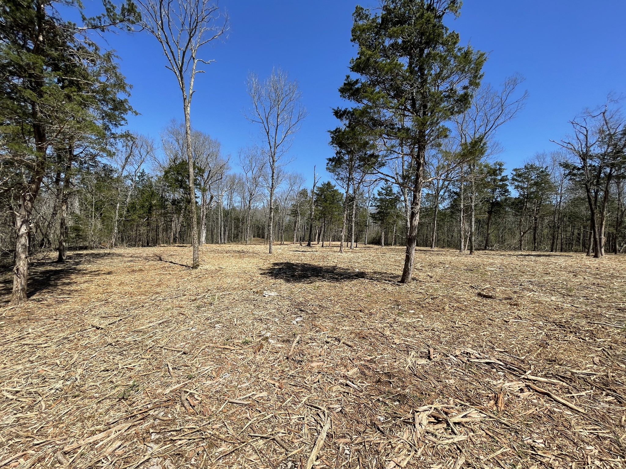 0 Vaught Road Readyville, TN 37149 - Photo 11 of 12 Gallery Image 11