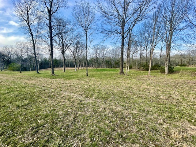0 Vaught Road Readyville, TN 37149 - Photo 3 of 12 Gallery Image 3