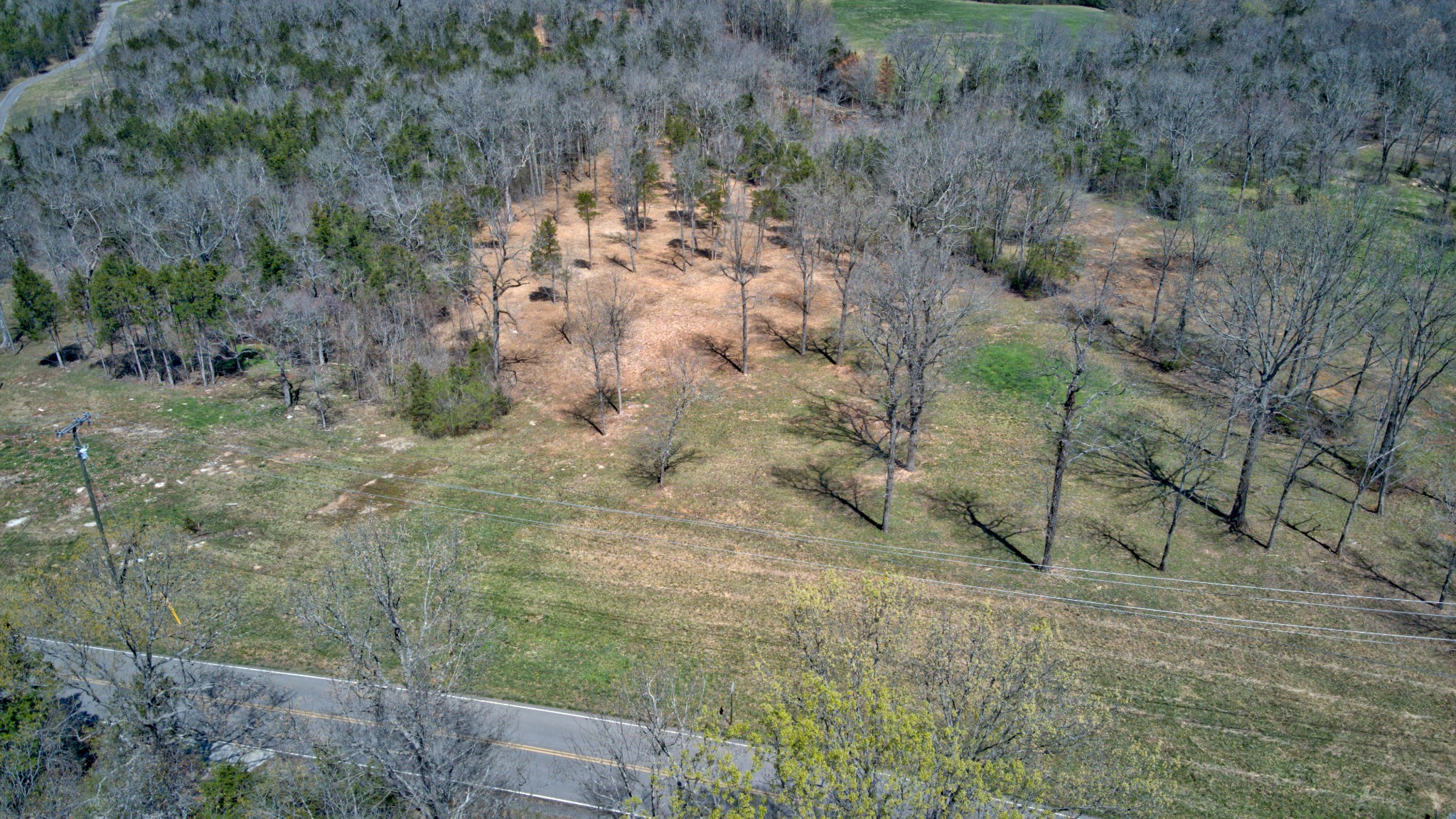 0 Vaught Road Readyville, TN 37149 - Photo 4 of 12 Gallery Image 4