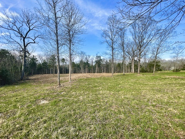 0 Vaught Road Readyville, TN 37149 - Photo 5 of 12 Gallery Image 5