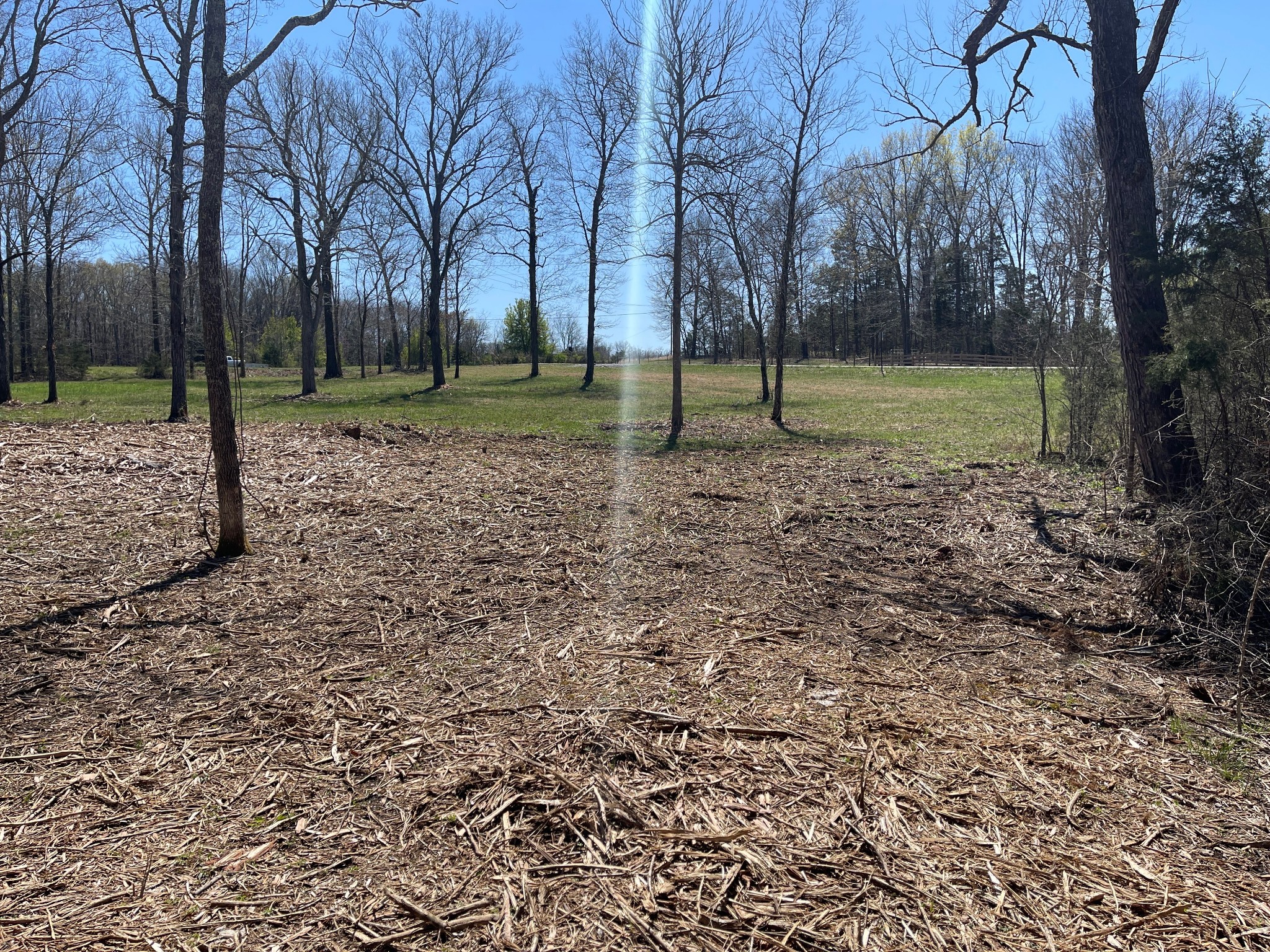 0 Vaught Road Readyville, TN 37149 - Photo 7 of 12 Gallery Image 7