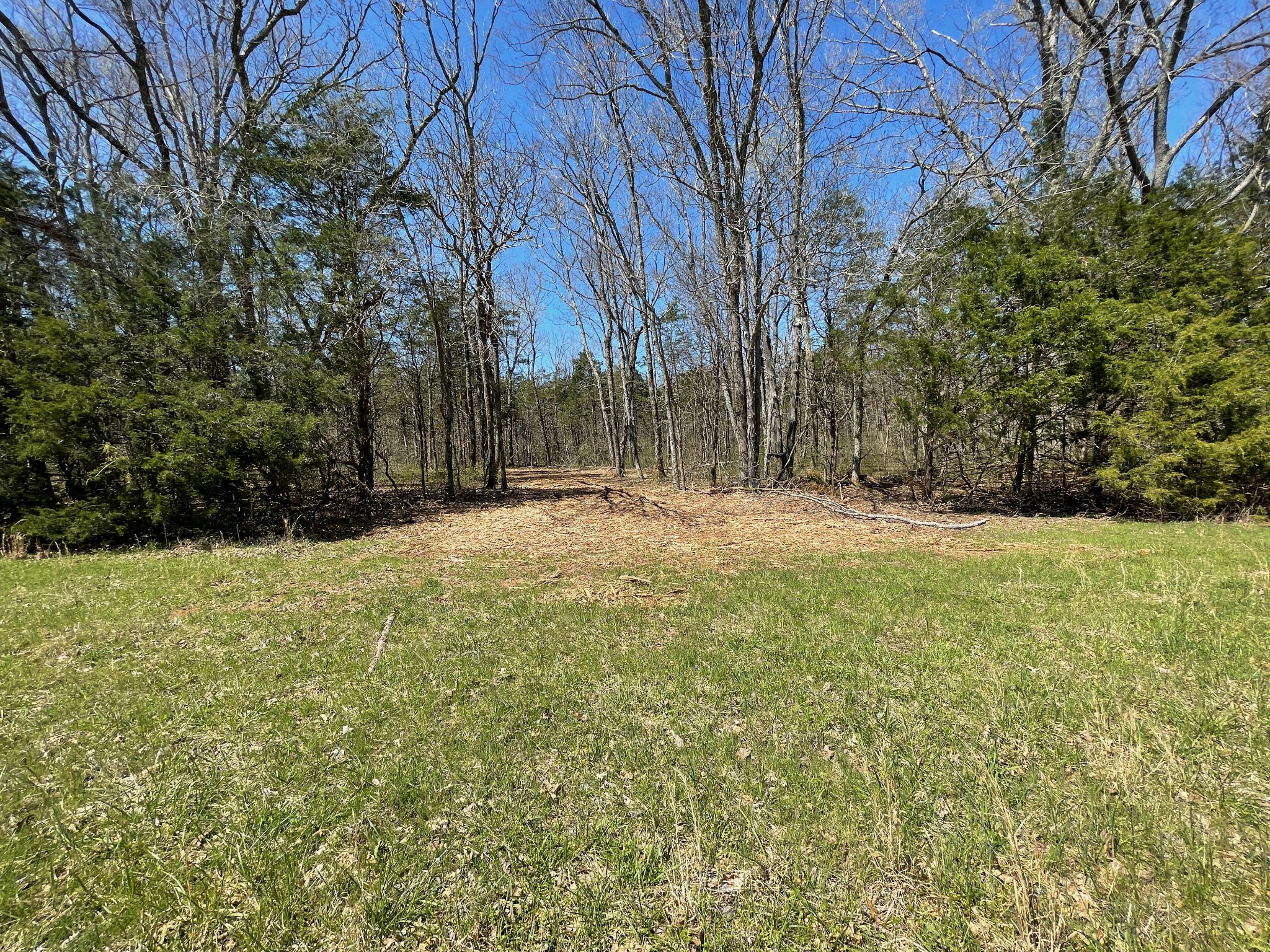 0 Vaught Road Readyville, TN 37149 - Photo 8 of 12 Gallery Image 8