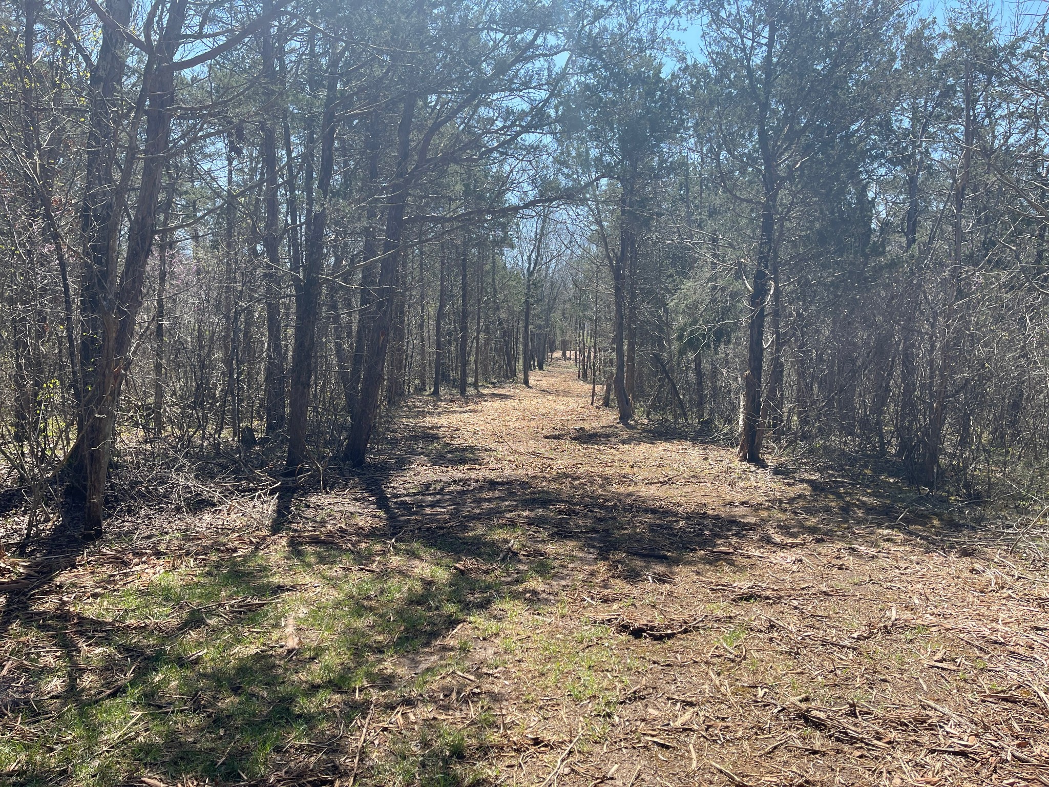 0 Vaught Road Readyville, TN 37149 - Photo 10 of 12 Gallery Image 10
