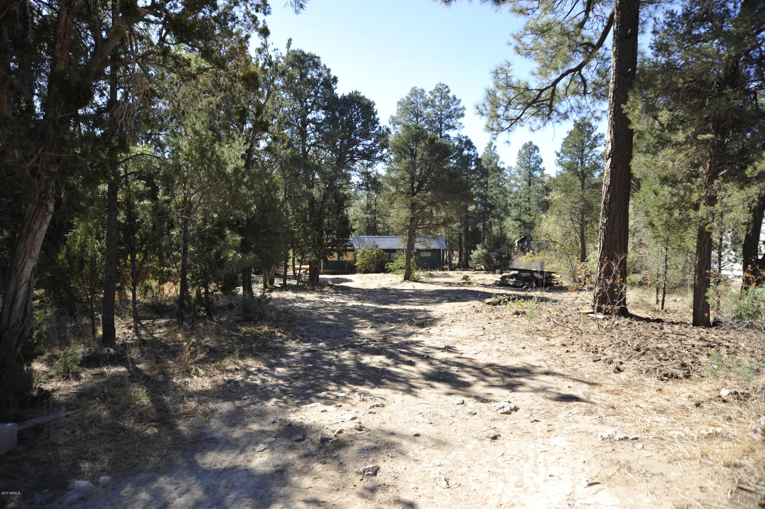 0 Cottontail Road, Unit 385 Overgaard, AZ 85933 - Photo 3 of 11 _3LS7490