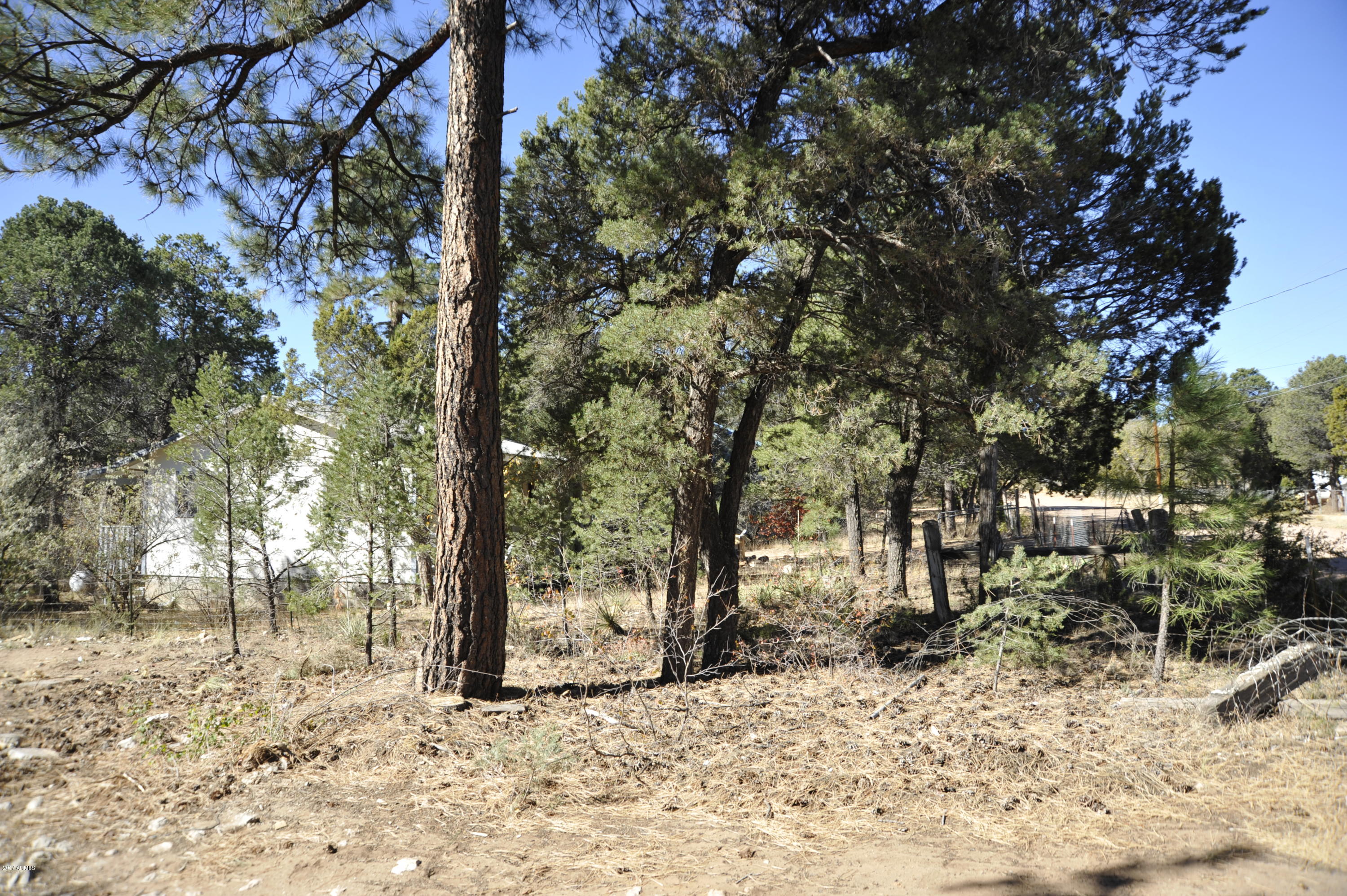 0 Cottontail Road, Unit 385 Overgaard, AZ 85933 - Photo 5 of 11 _3LS7488