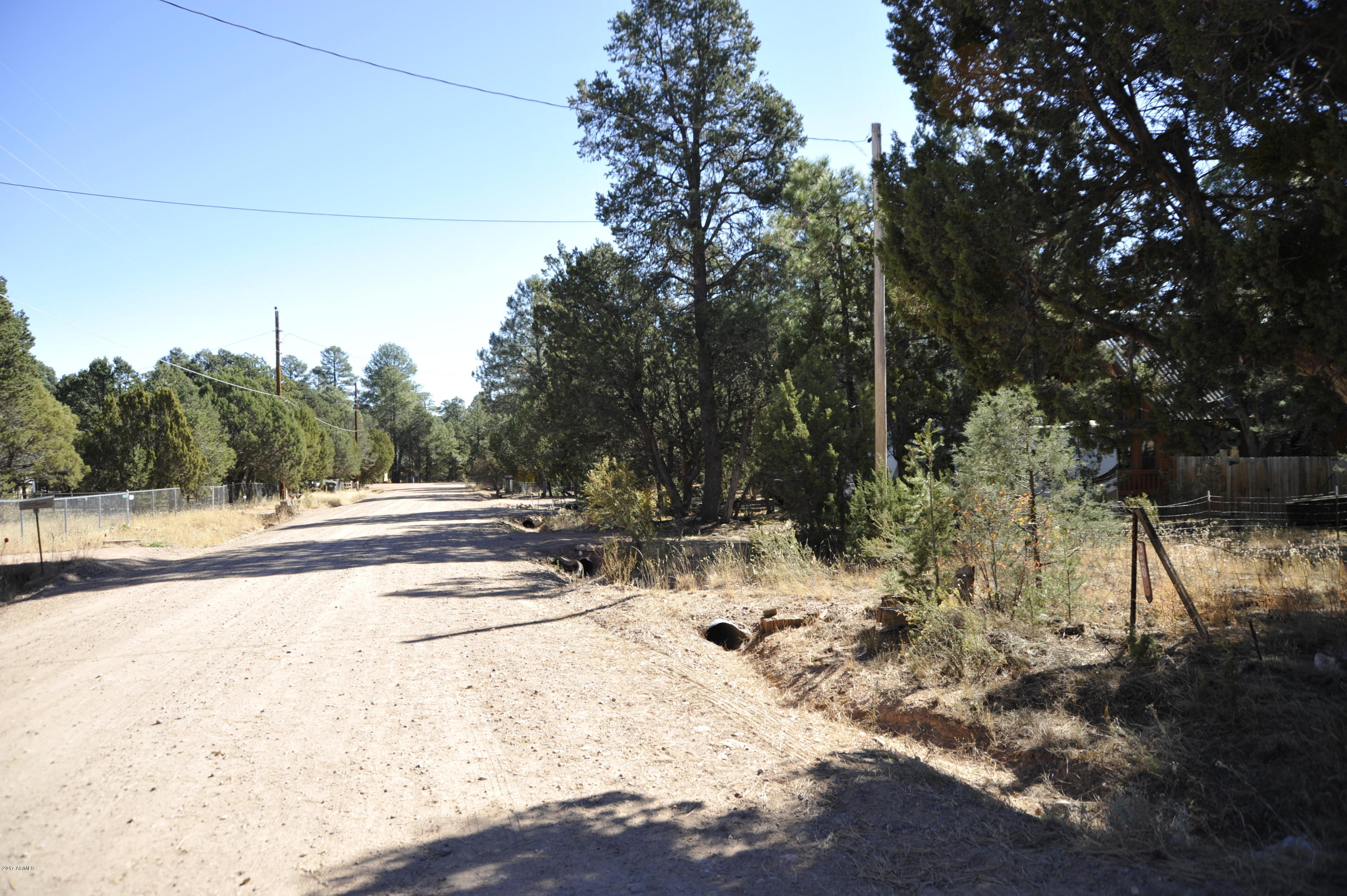 0 Cottontail Road, Unit 385 Overgaard, AZ 85933 - Photo 8 of 11 _3LS7493