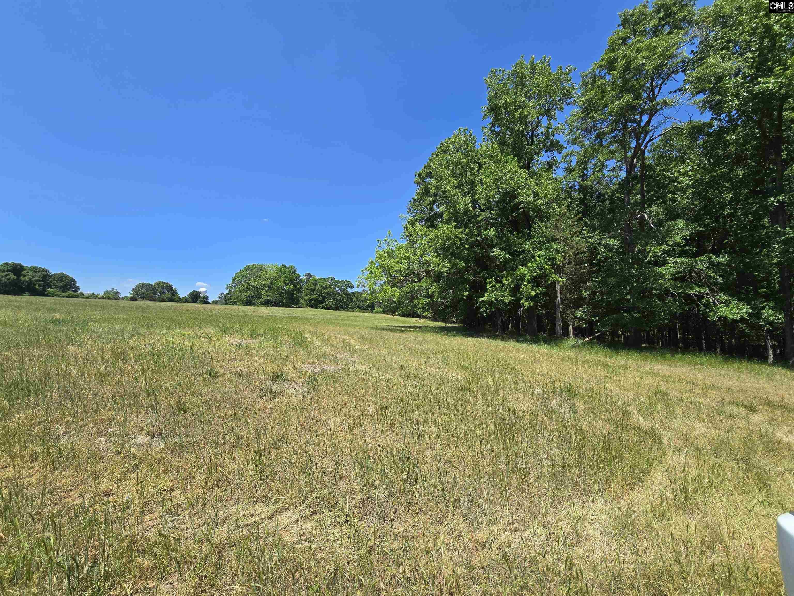 542 Pea Ridge Highway Jonesville, SC 29353 - Photo 11 of 72