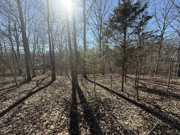 $45,000 | 28 Backwoods Estates, Indian Mound, TN 37079