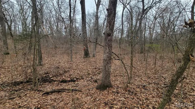 $140,000 | 2 Valley Farm, Warrenton, MO 63383