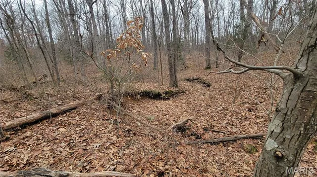 $140,000 | 2 Valley Farm, Warrenton, MO 63383