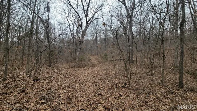 $140,000 | 2 Valley Farm, Warrenton, MO 63383