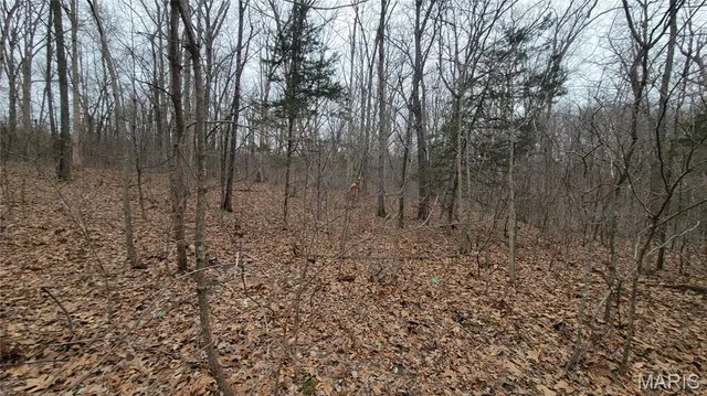 $140,000 | 2 Valley Farm, Warrenton, MO 63383