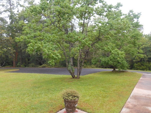 1475 Lone Oak Road Macon, GA 31211 - Photo 23 of 29 Additional Photo