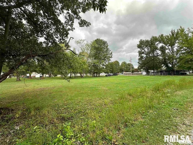 a view of yard with green space