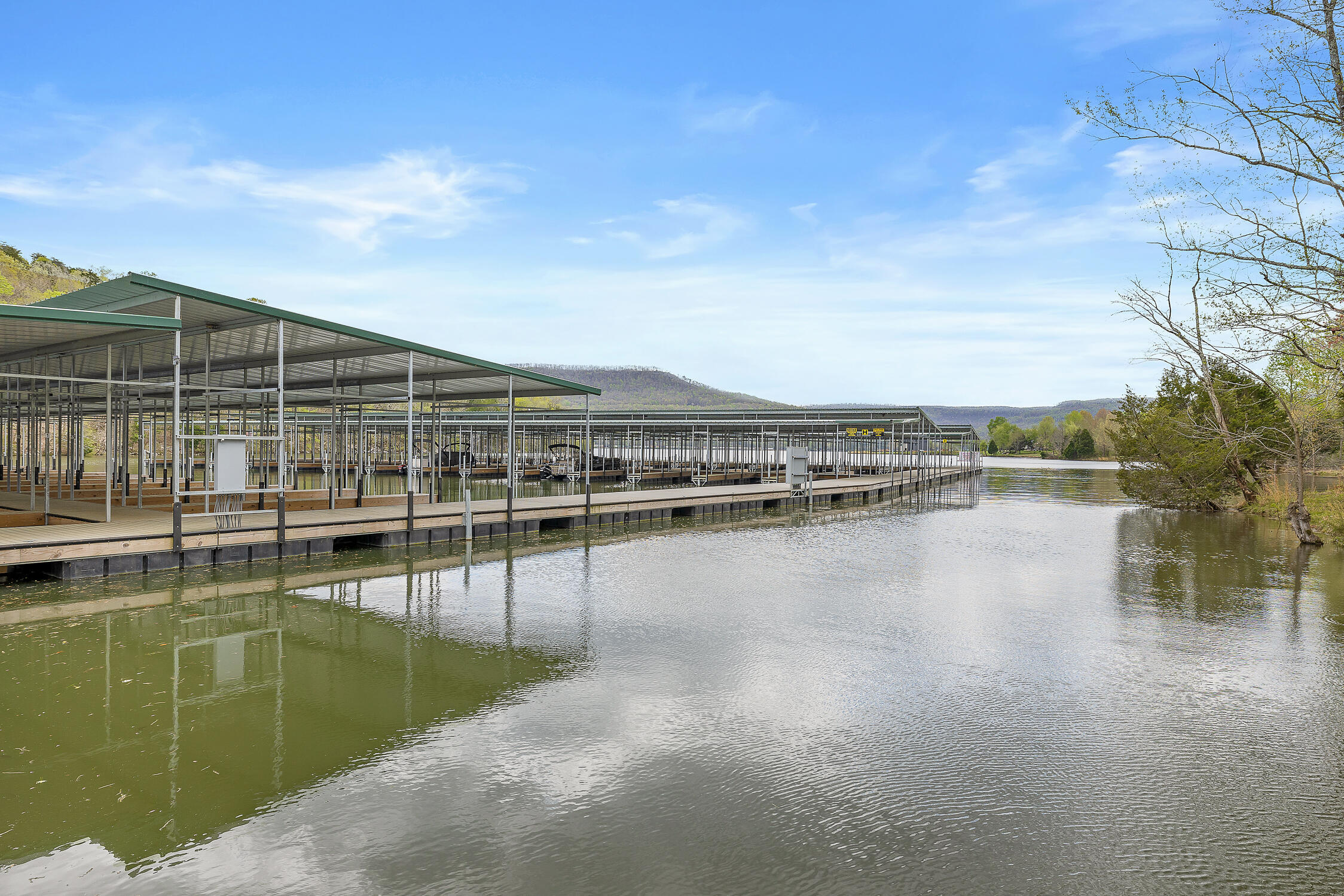 140 Portside Way Jasper, TN 37347 - Photo 3 of 43 20240405165649746995000000-o