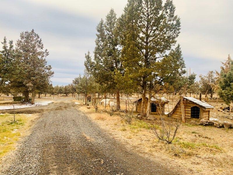 342 Northwest Meyers Butte Road Powell Butte, OR 97753 - Photo 22 of 29 FullSizeR3