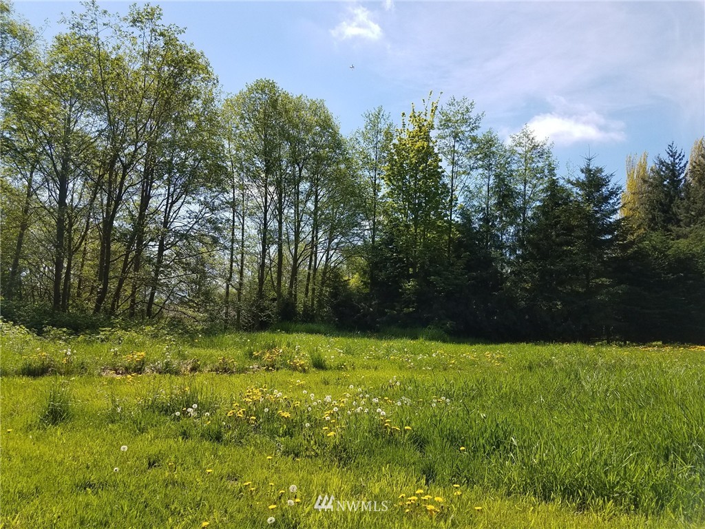 9999 Griffith Farm Road Sequim, WA 98382 - Photo 1 of 6 Gallery Image 1