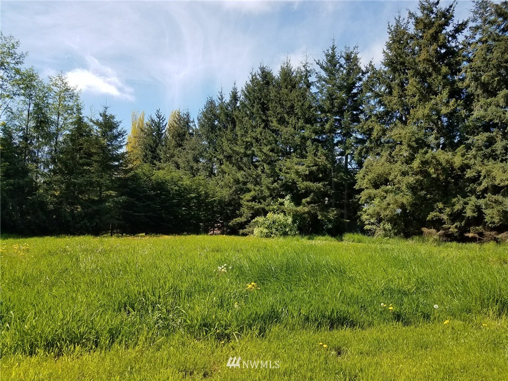 9999 Griffith Farm Road Sequim, WA 98382 - Photo 3 of 6 Gallery Image 3
