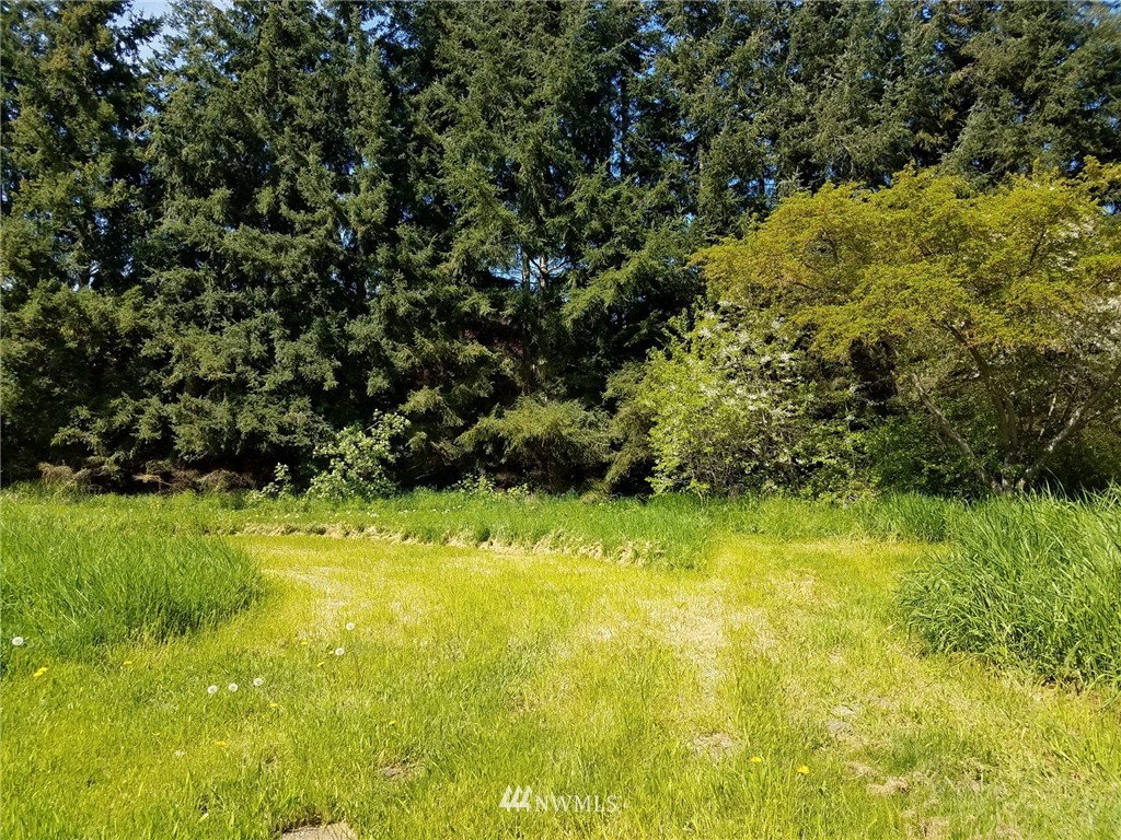 9999 Griffith Farm Road Sequim, WA 98382 - Photo 4 of 6 Gallery Image 4