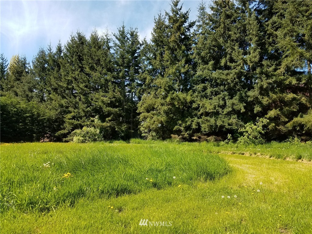 9999 Griffith Farm Road Sequim, WA 98382 - Photo 5 of 6 Gallery Image 5