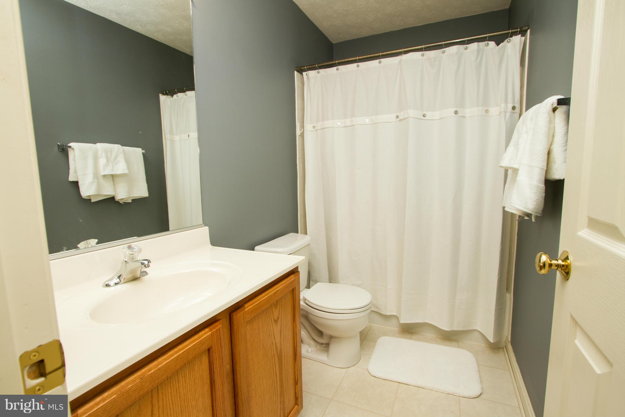 217 Manchester Drive Rising Sun, MD 21911 - Photo 14 of 20 Bath