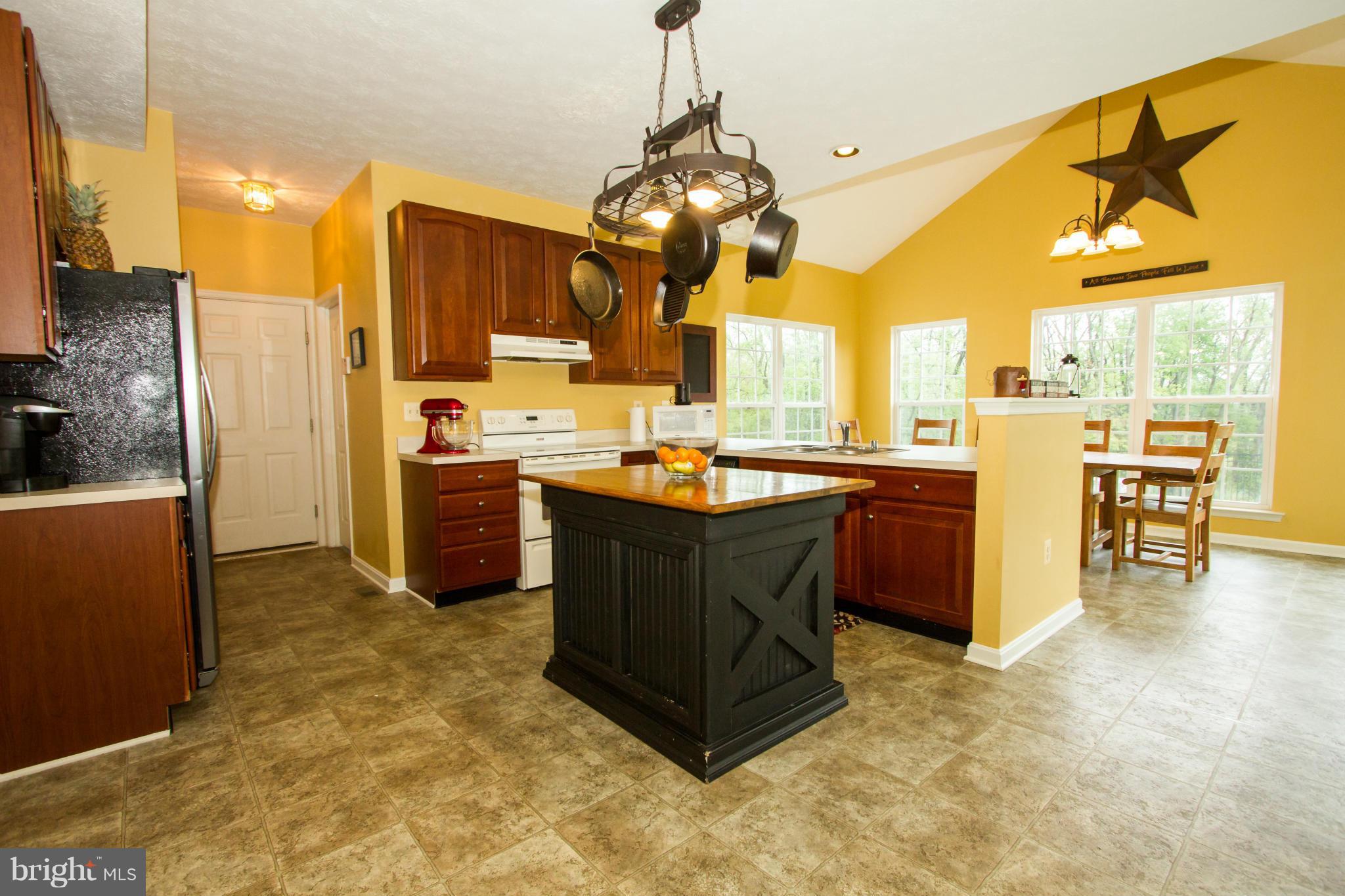 217 Manchester Drive Rising Sun, MD 21911 - Photo 3 of 20 Kitchen