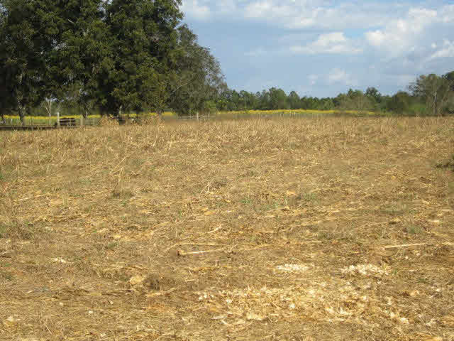 0 North N Highway North Elberta, AL 36530 - Photo 1 of 2