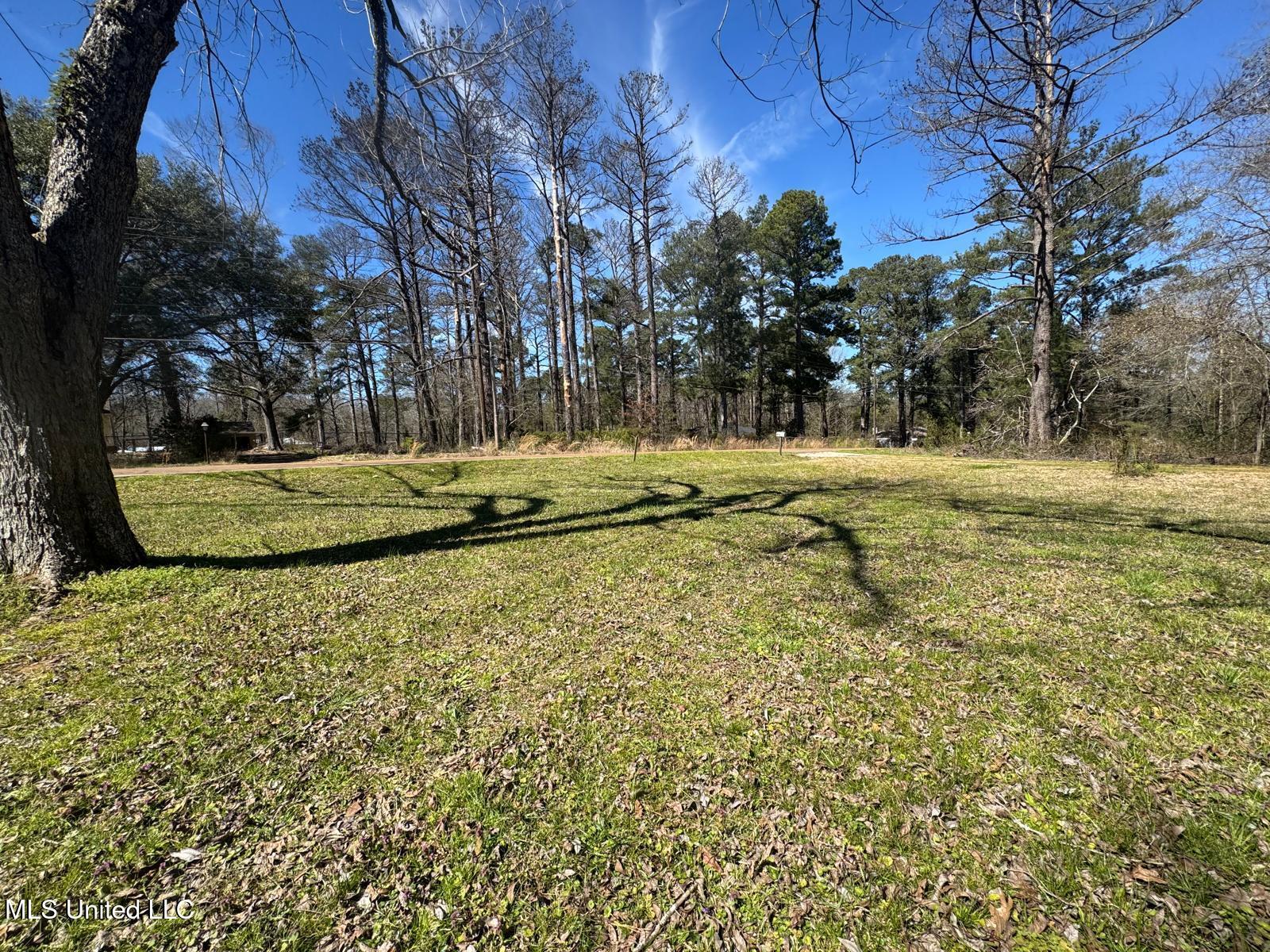 3506 Rainey Road Jackson, MS 39212 - Photo 8 of 8 WhatsApp Image 2025-03-07 at 04.33.30_86