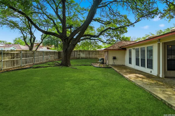 a view of a backyard with plants and large trees