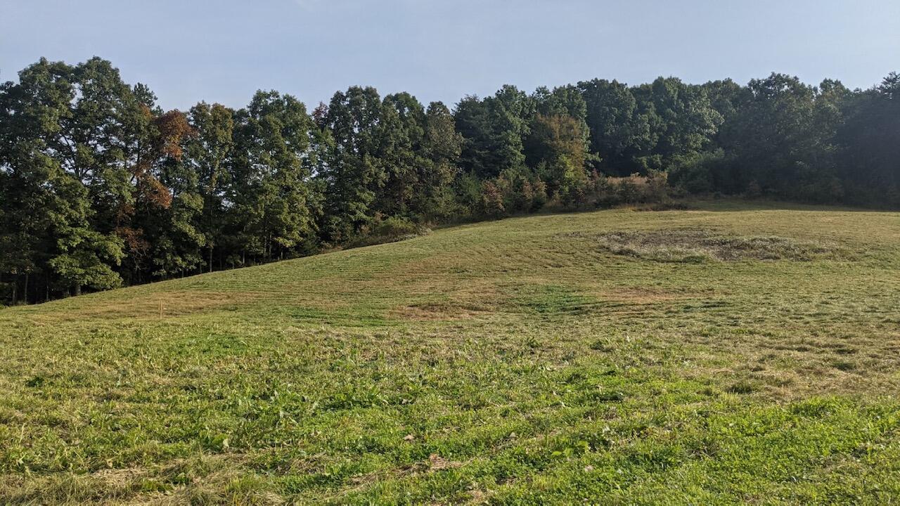 2128 Taylor School Road London, KY 40741 - Photo 3 of 26 4