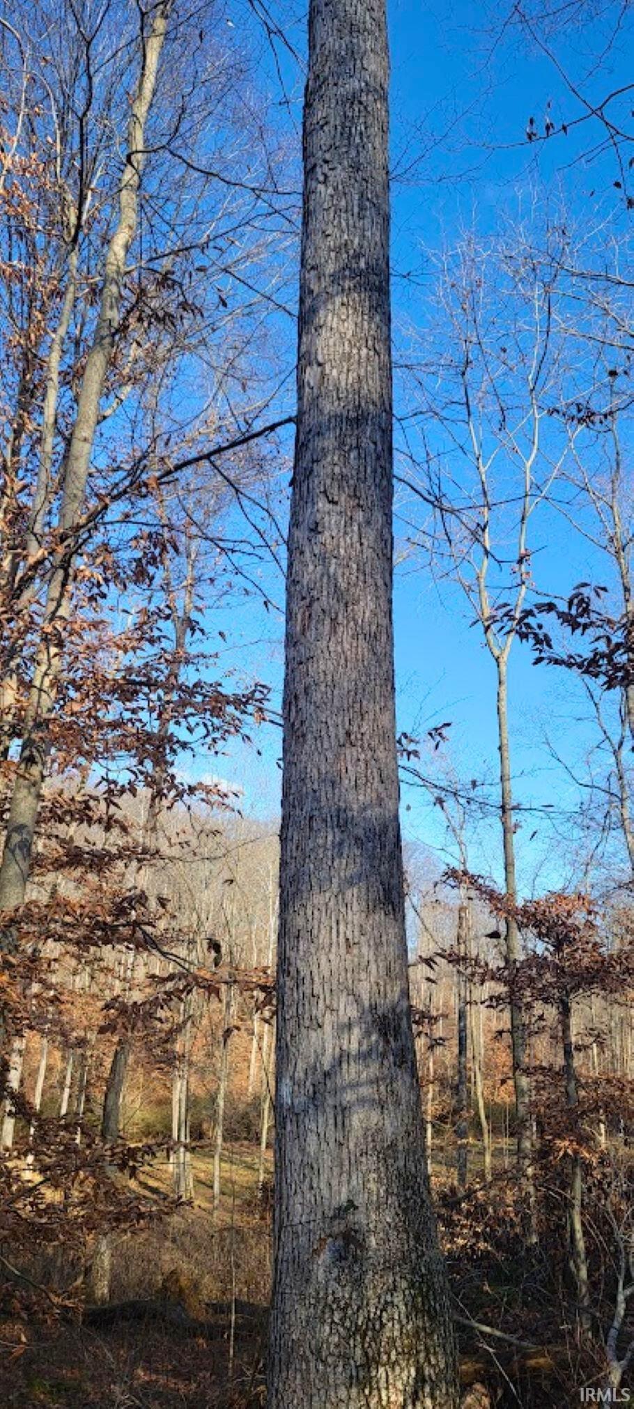 Kale Cross Rd Shoals Shoals, IN 47581 - Photo 12 of 23