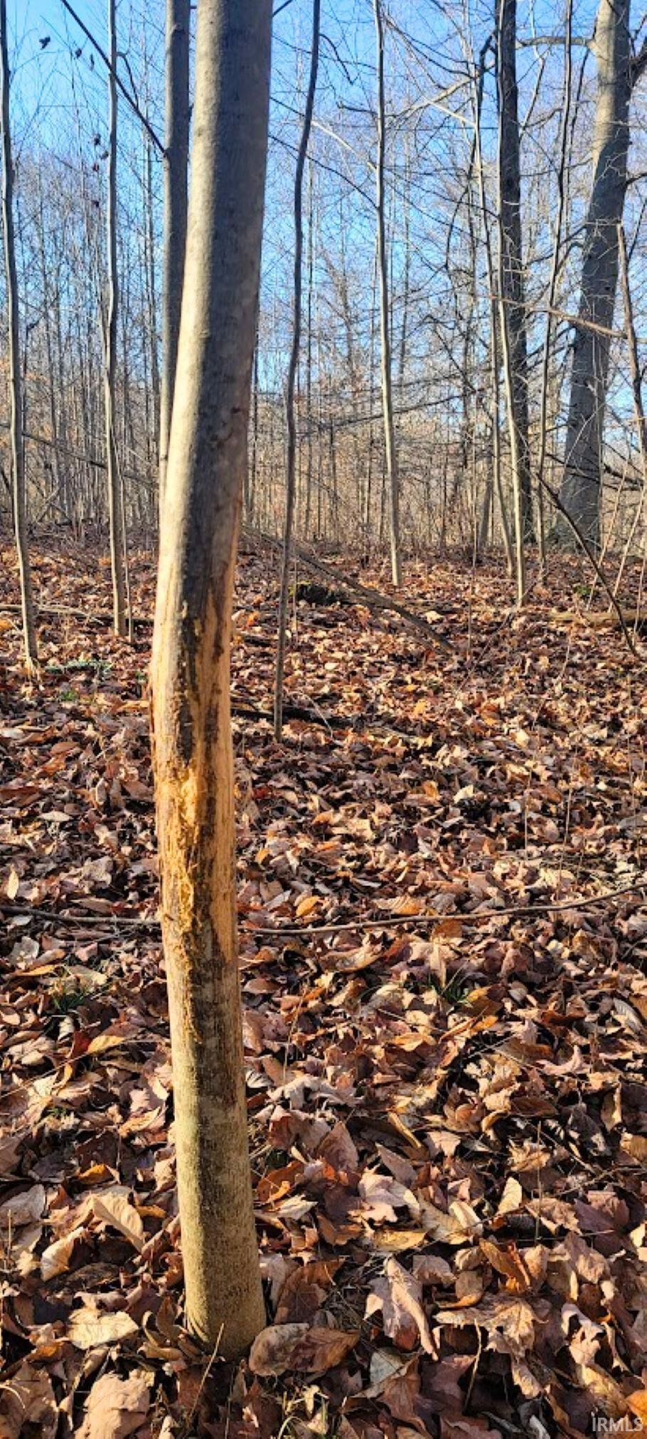 Kale Cross Rd Shoals Shoals, IN 47581 - Photo 13 of 23