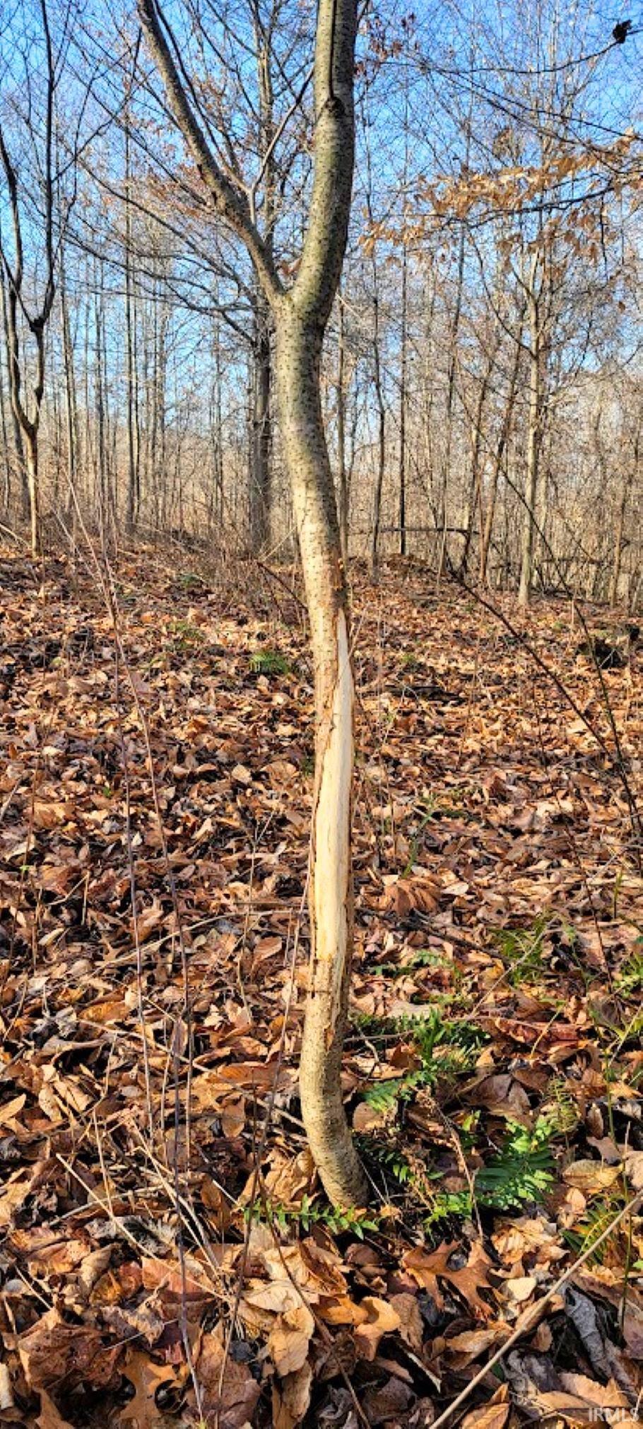 Kale Cross Rd Shoals Shoals, IN 47581 - Photo 14 of 23