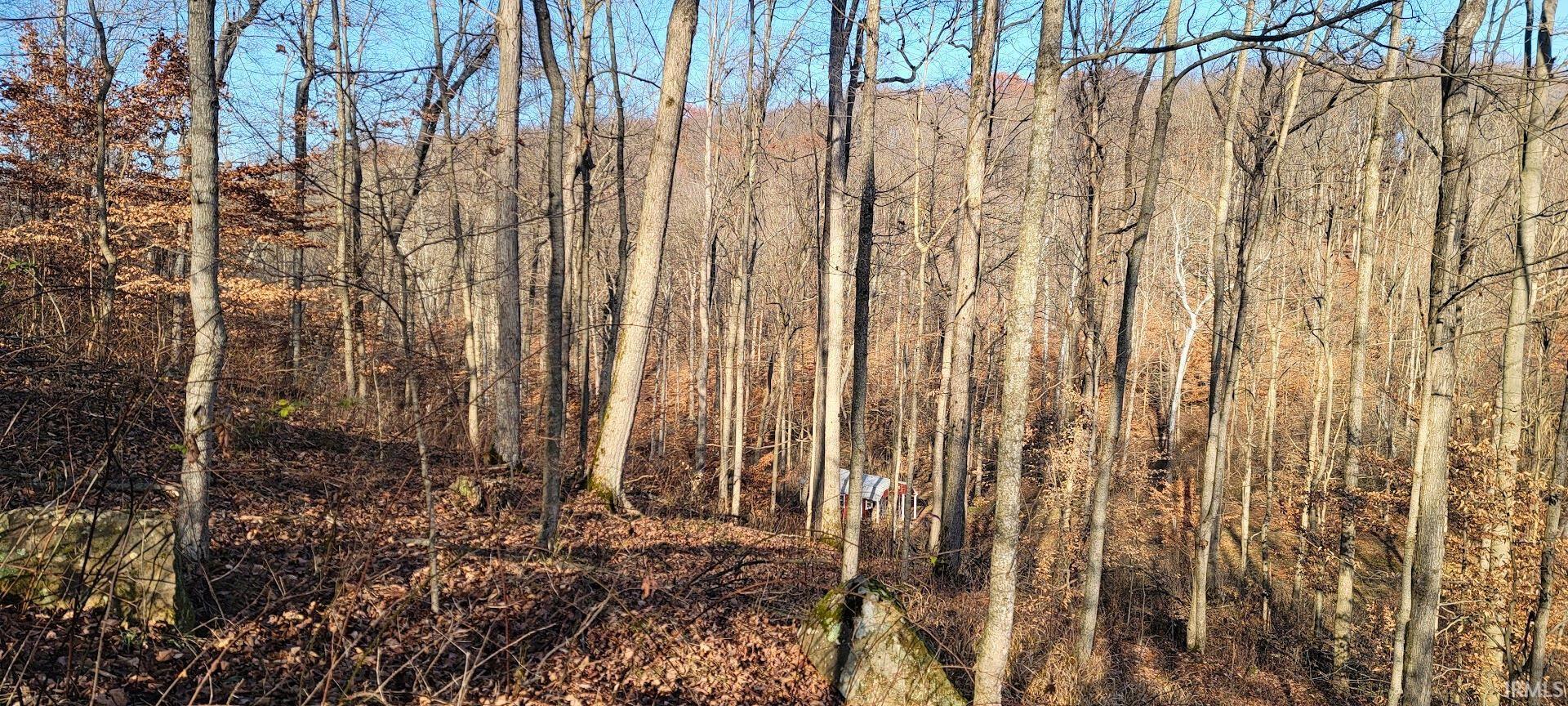 Kale Cross Rd Shoals Shoals, IN 47581 - Photo 16 of 23