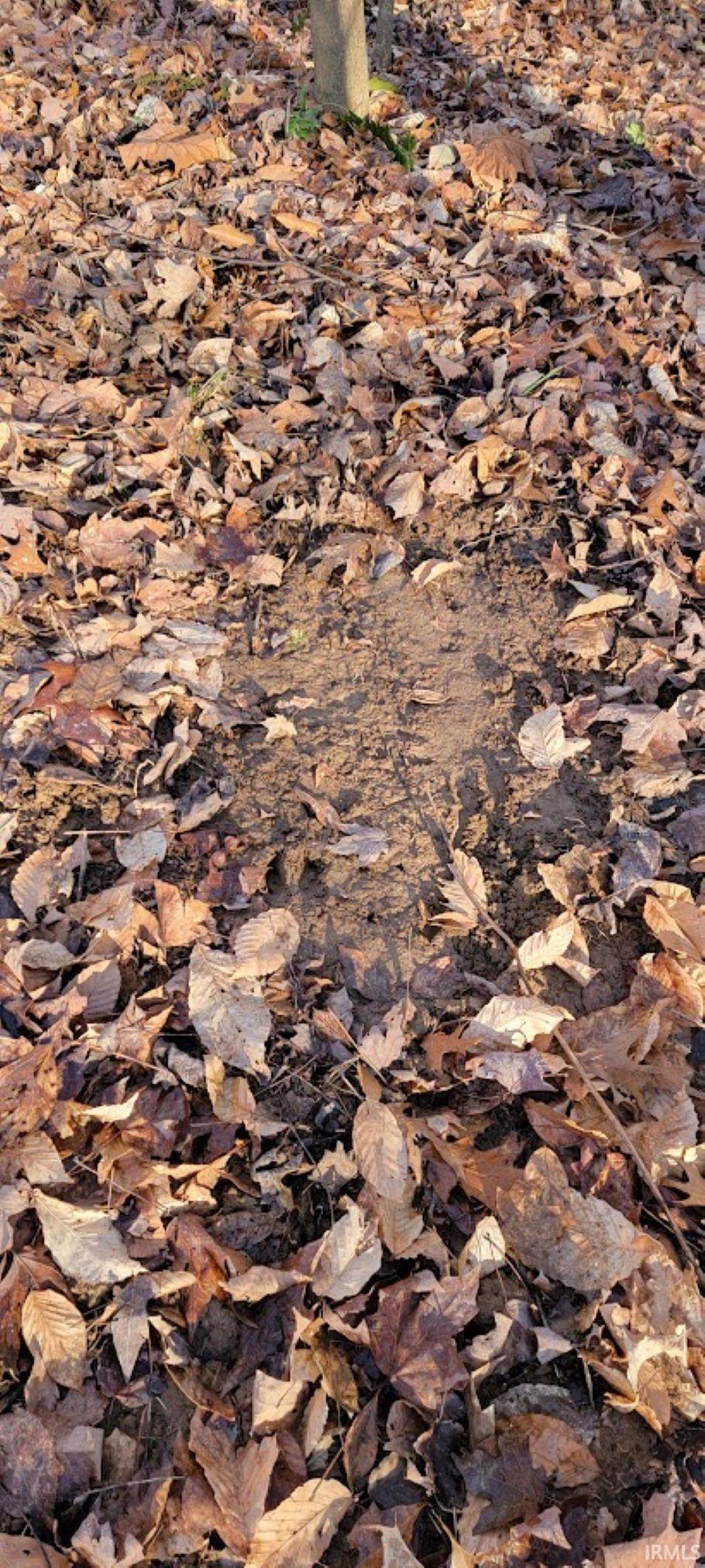 Kale Cross Rd Shoals Shoals, IN 47581 - Photo 18 of 23