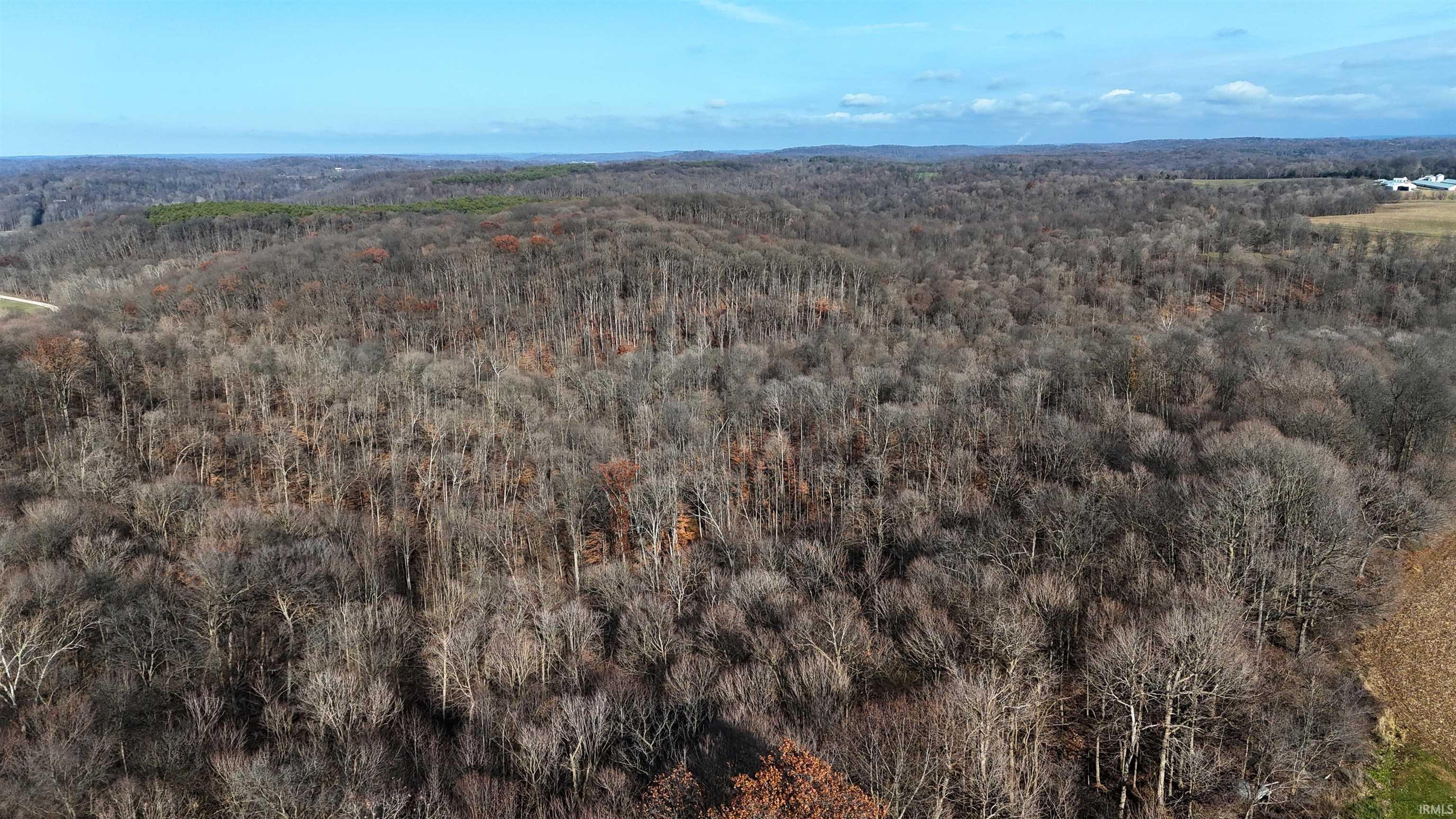 Kale Cross Rd Shoals Shoals, IN 47581 - Photo 4 of 23