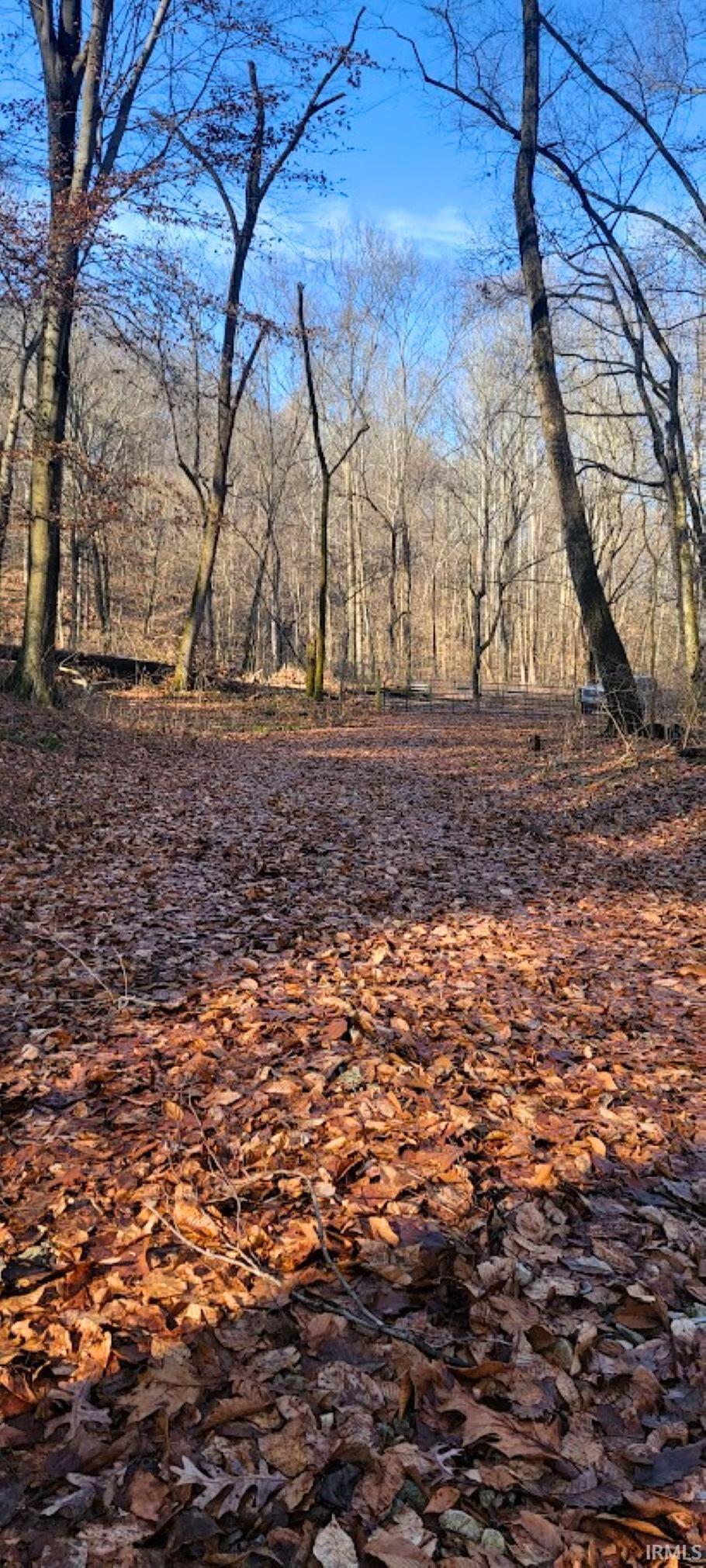 Kale Cross Rd Shoals Shoals, IN 47581 - Photo 8 of 23