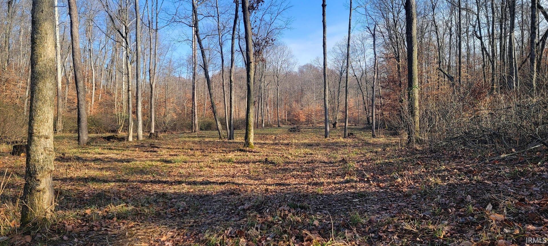 Kale Cross Rd Shoals Shoals, IN 47581 - Photo 10 of 23