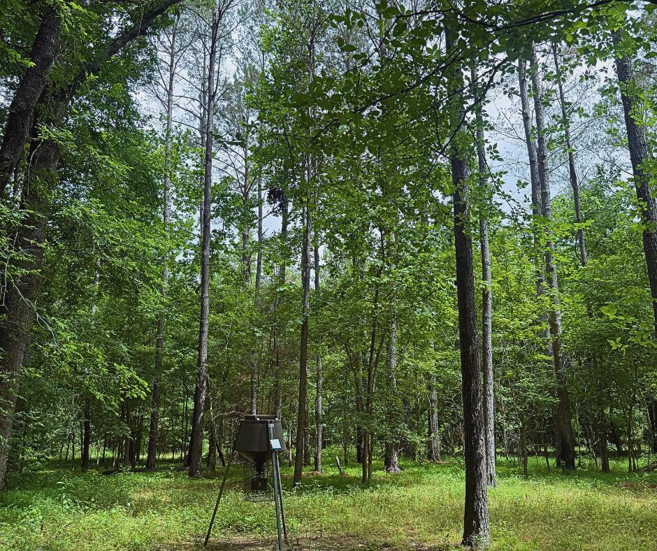 110 County Road Houston, MS 38851 - Photo 2 of 25 Gallery Image 2