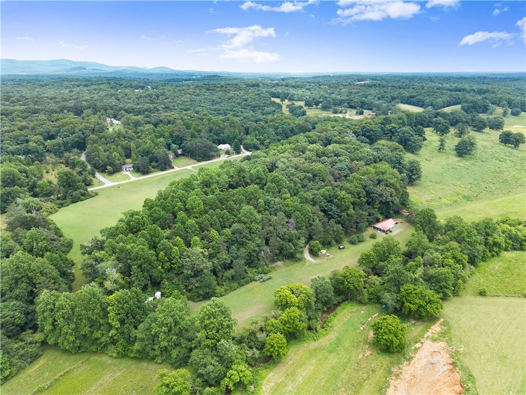 2290 Alec Mountain Road Clarkesville, GA 30523 - Photo 66 of 69